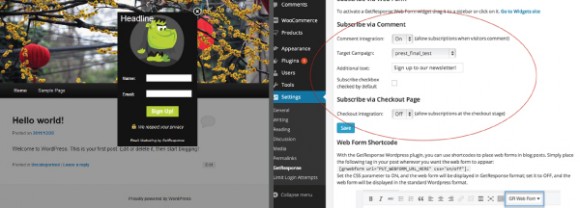 How to use email marketing wordpress blog