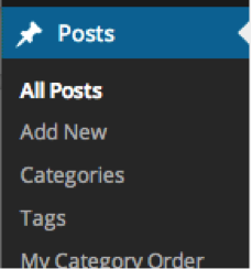 wordpress posts